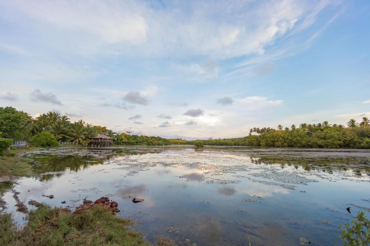 Rock Violet Lakefront Cabanas & Restaurent แทนกาลเล ภายนอก รูปภาพ