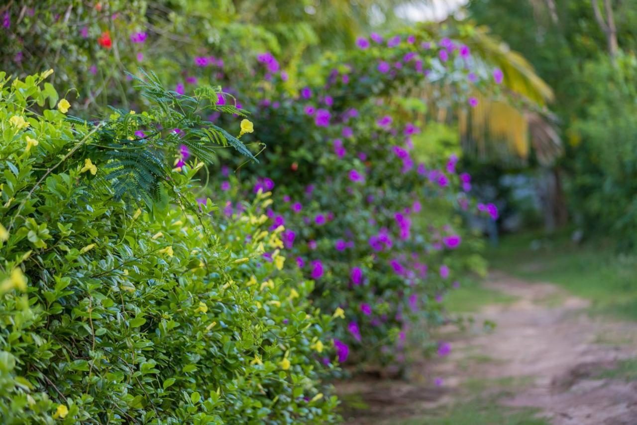 Rock Violet Lakefront Cabanas & Restaurent แทนกาลเล ภายนอก รูปภาพ